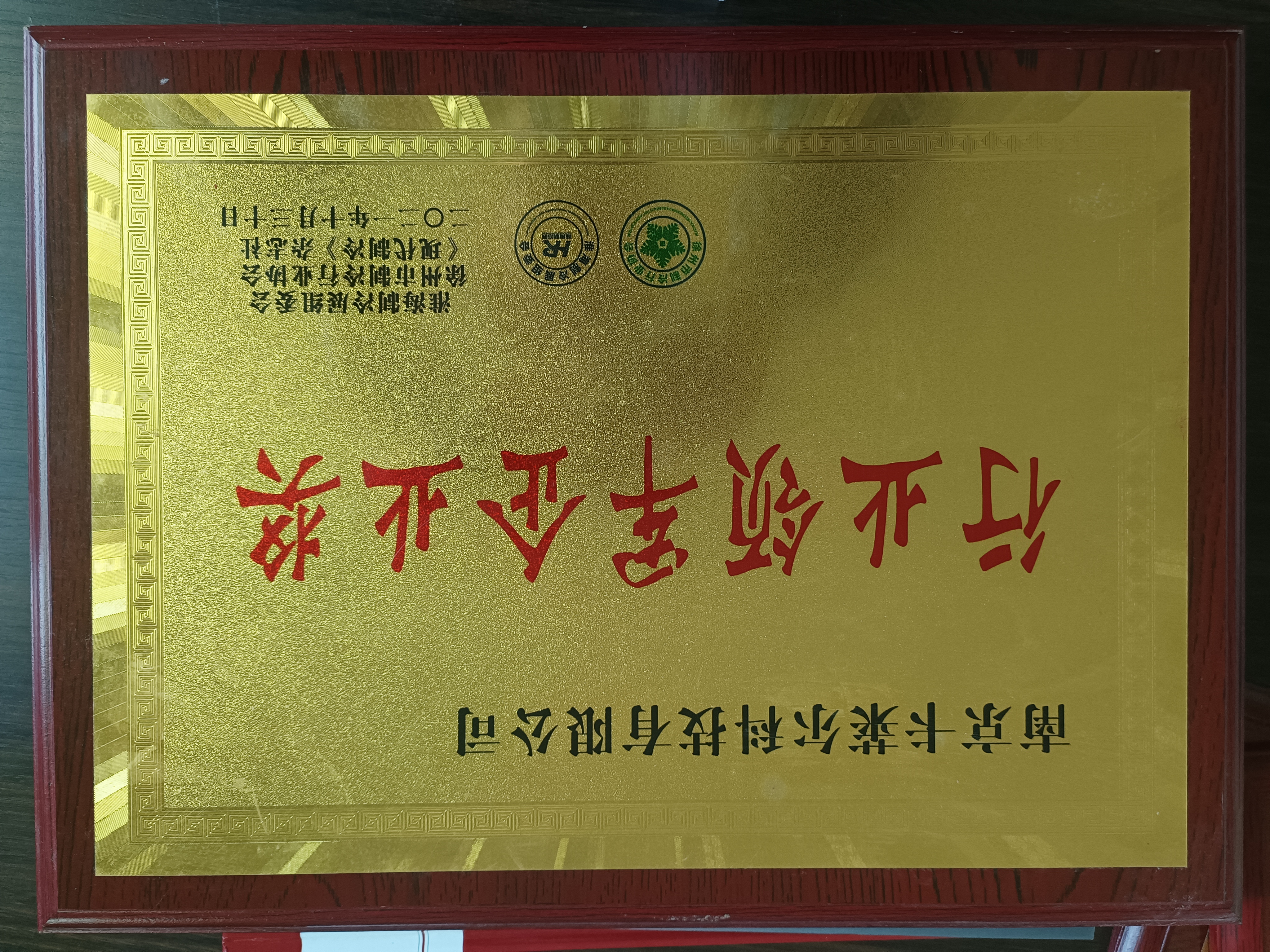 行业领军企业奖